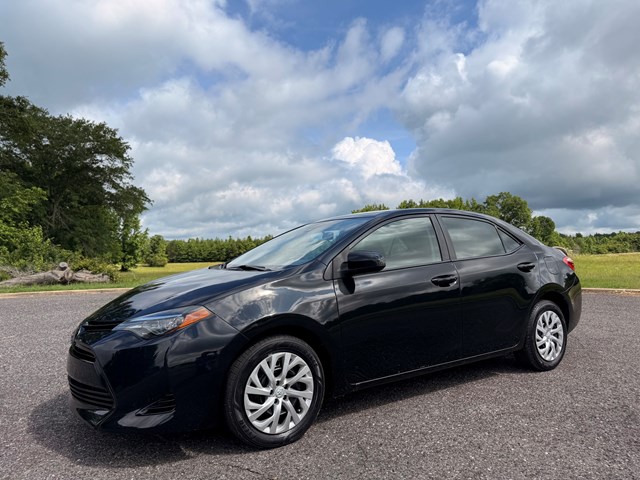 2019 Toyota Corolla LE AT's photo